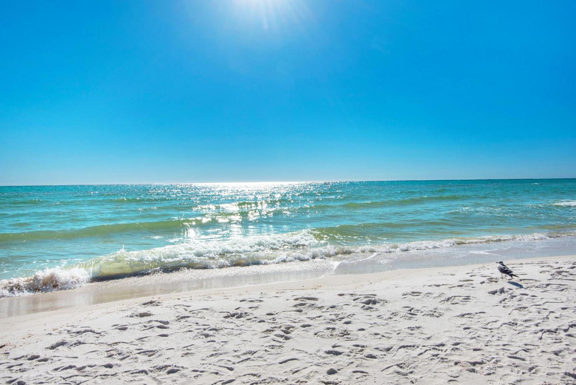 Shores Of Panama 1117 Panama City Beach Dış mekan fotoğraf